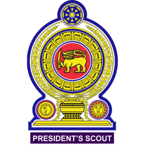 President's Scout Award
