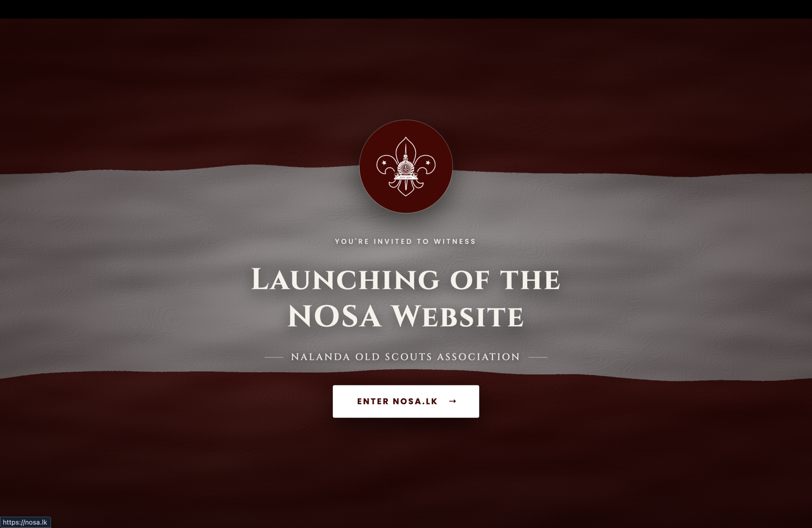 Launching the Official NOSA Website